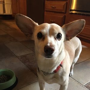 Meet your Posher, Liz